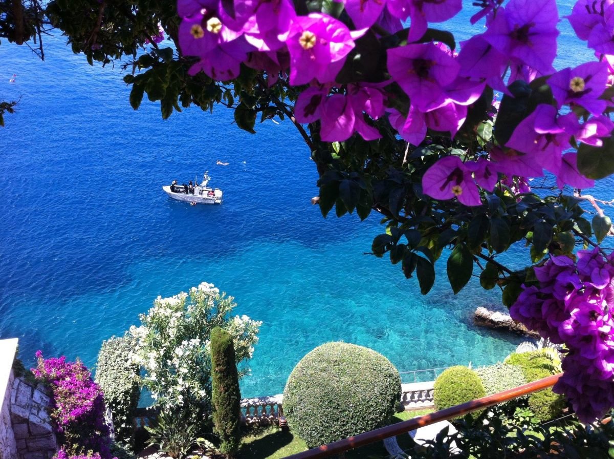 италия море цветы
